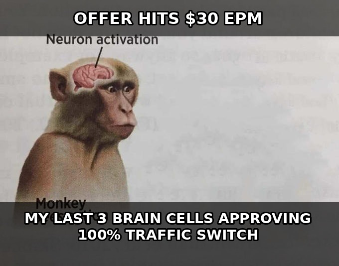 Monkey neuron activation meme